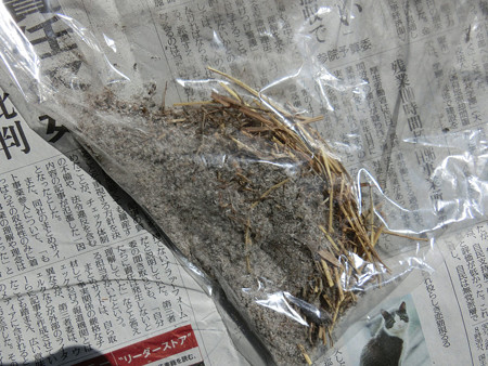 お掃除