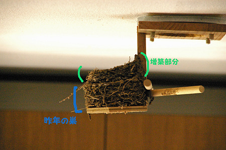 巣