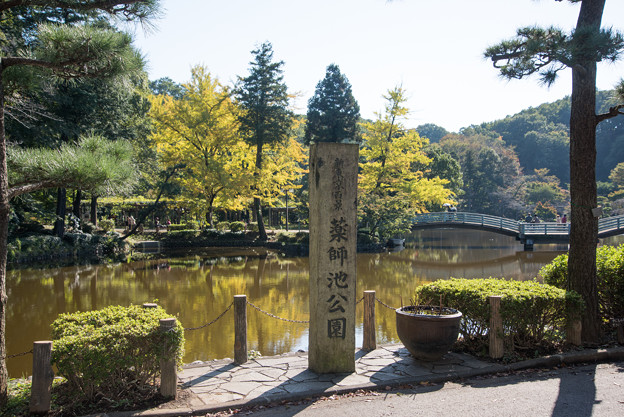 まだ紅葉にはちょっと早い薬師池公園です。