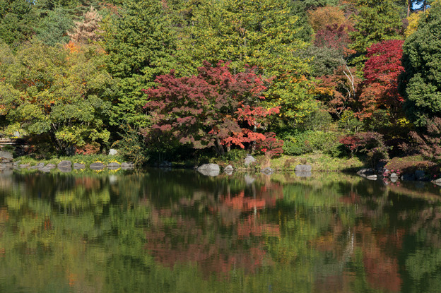 日本庭園の紅葉(7_3)
