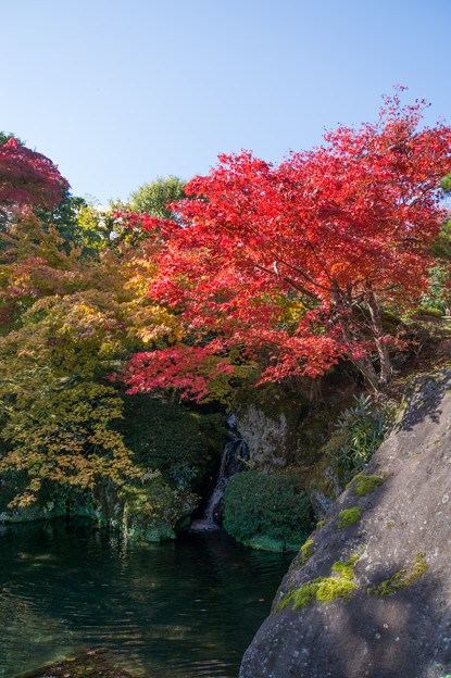 箱根美術館_滝がありました。