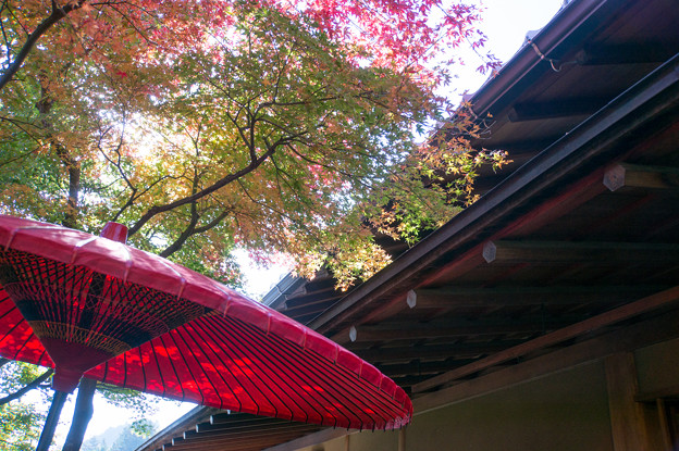 箱根美術館_右側が茶室「真和亭」