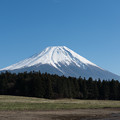富士山【朝霧高原からの眺め】2