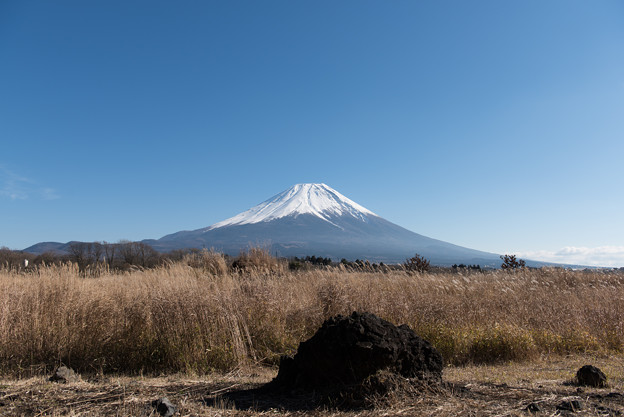 富士山【朝霧高原からの眺め】3