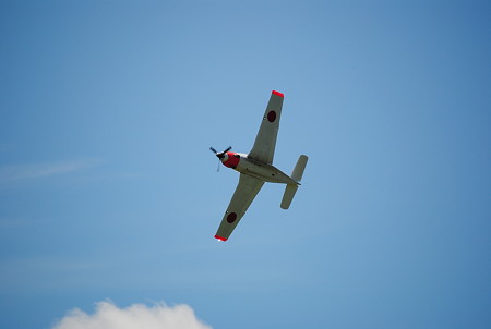 DSC_6030
