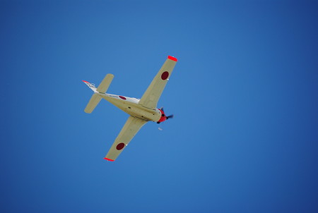 DSC_6131