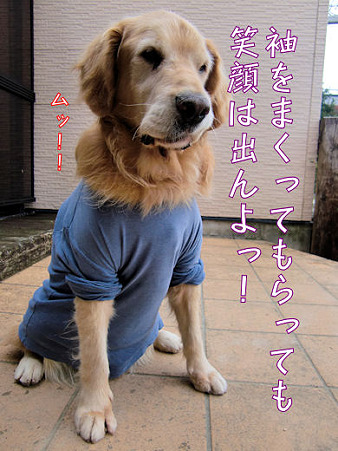 依然としてムッとしています。(爆)