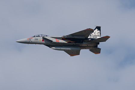 10th Anniversary Flight 03