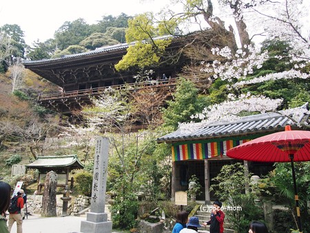 円教寺摩尼殿2014年04月12日_P4120246