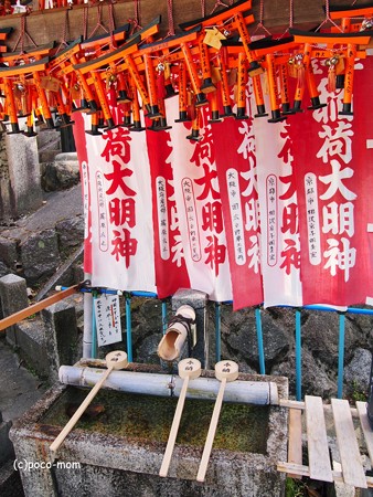 京都伏見稲荷2014年05月04日_P5040726