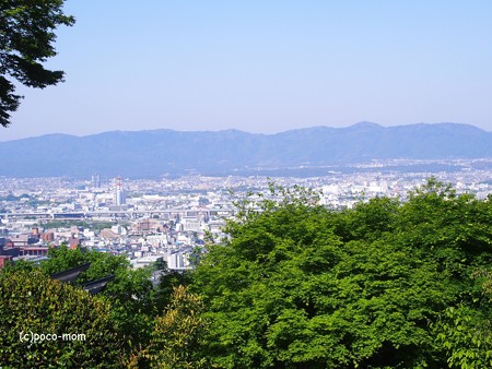 京都伏見稲荷2014年05月04日_P5040727