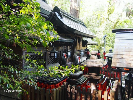 京都伏見稲荷2014年05月04日_P5040760