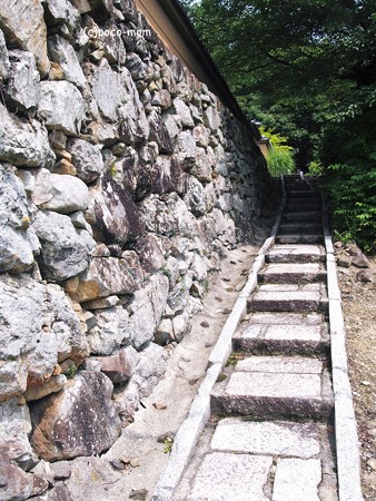 宝菩提院願徳寺 階段2014年07月21日_P7210077