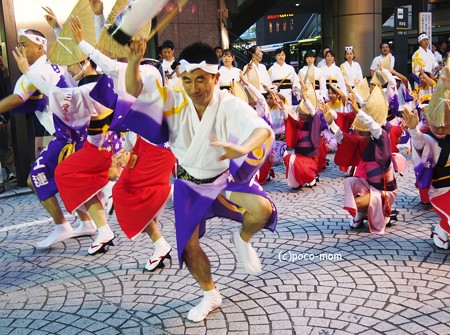 三鷹阿波踊り2014年08月31日_P8310354