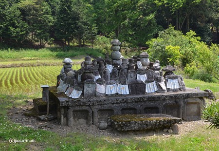 長浜 大聖寺不動堂への路傍の石仏群 DSC_0032