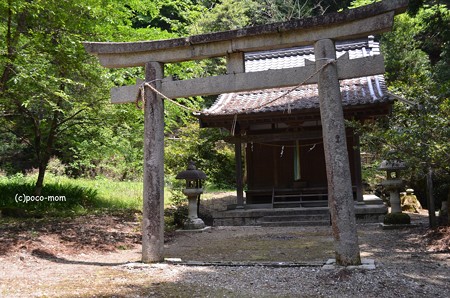 長浜 大聖寺 鎮守社 DSC_0044