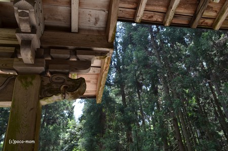 長浜 大聖寺不動堂 DSC_0051