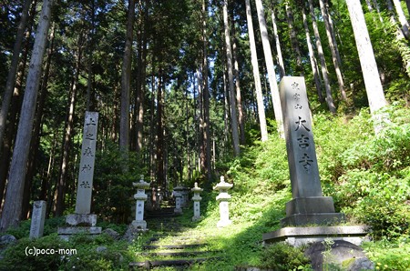 大吉寺 DSC_0140