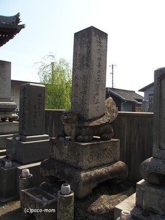 光明寺 贔屓 P4110035