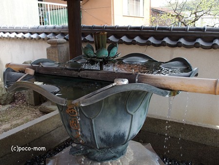 西國寺 西国寺 P4120213
