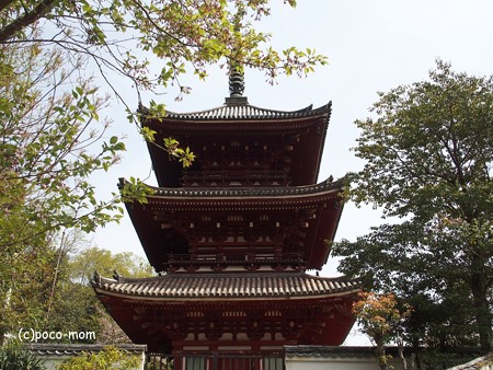西國寺 西国寺 P4120240