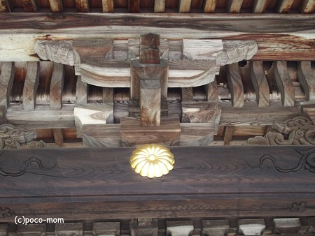 滋賀湖北、米原市 蓮華寺 P6190059