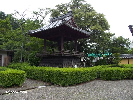 米原市 湖北 蓮華寺 P6190056