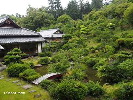 米原蓮華寺 P6190020