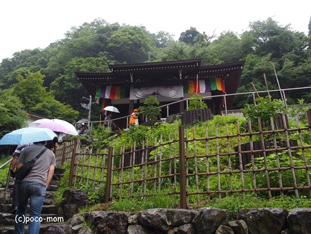 米原 松尾寺 P6190068