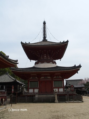 尾道 浄土寺 P4120291