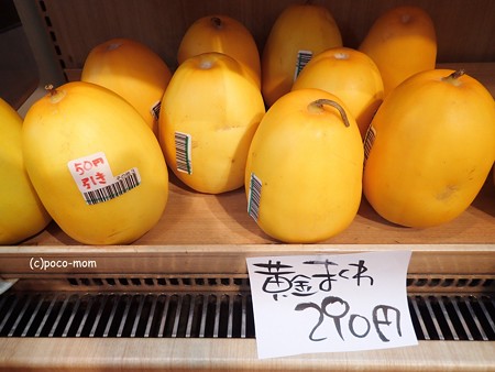 東京 奈良・まほろば館 P7310690