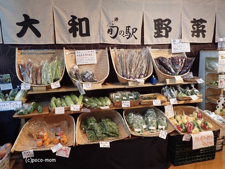 東京 奈良・まほろば館 7310697