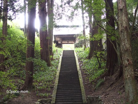 安楽寺 P8150092
