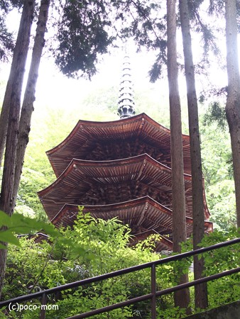 安楽寺 八角三重塔 P8150050