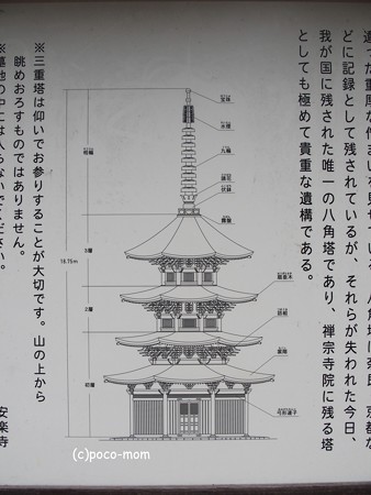 安楽寺 八角三重塔 P8150077