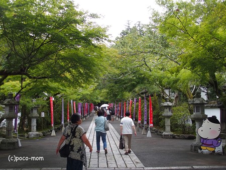 石山寺 P8270272