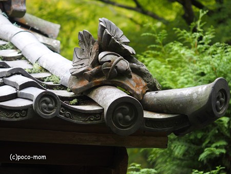 石山寺 P8270282