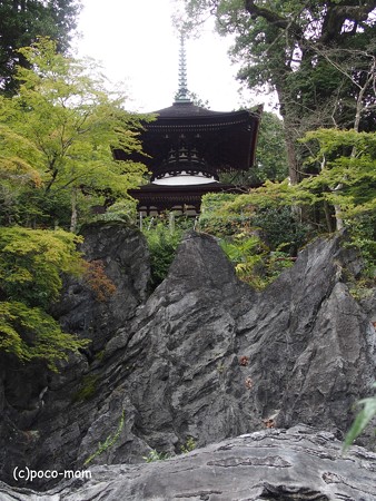 石山寺 多宝塔 P8270310