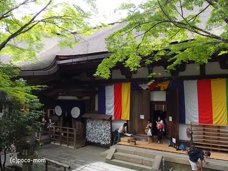 石山寺 本堂 P8270334