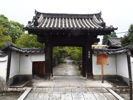 養源院 P8280610