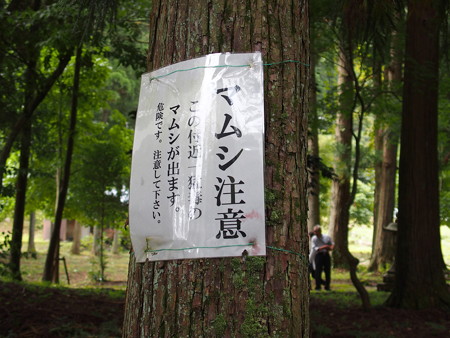 長浜 東林寺 P9250098