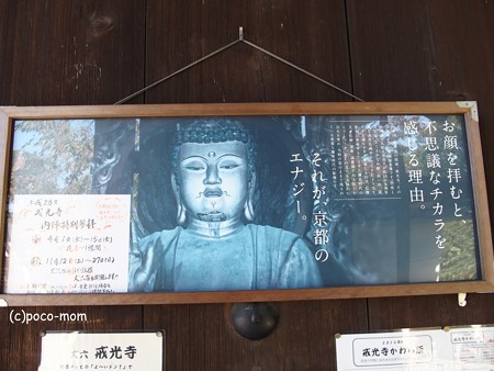 戒光寺 PA160558