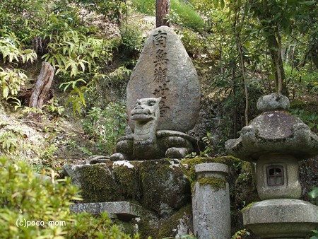 今熊野観音寺 PA160615