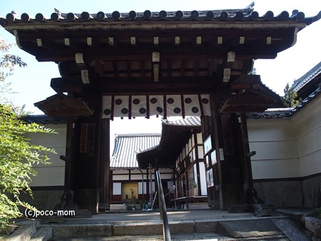 戒光寺 PA160551