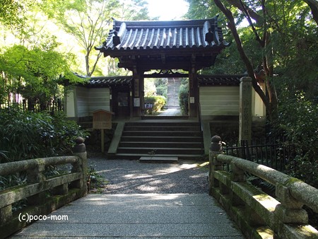 泉涌寺塔頭 来迎院 PA160563