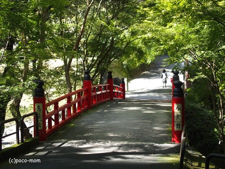 今熊野観音寺 泉涌寺塔頭 PA160593