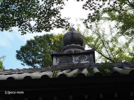 今熊野観音寺 泉涌寺塔頭 PA160612