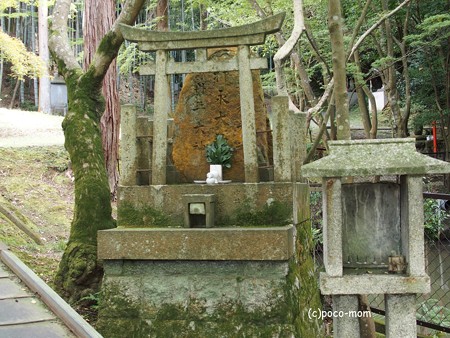 今熊野観音寺 泉涌寺塔頭 PA160635
