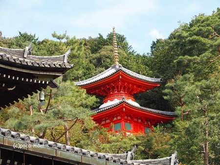 今熊野観音寺 泉涌寺塔頭 PA160644