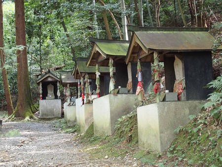 今熊野観音寺 西国三十三所霊場 PA160629